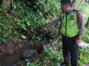 Lama Hilang, Temuan Jasad Sahati Gegerkan Warga Wates Bogor