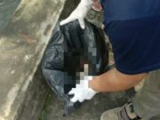 Mayat Bayi Mengambang di Dum Pintu Air Ciliwung Megamendung