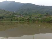 Diduga Lompat ke Danau, Pemuda Asal Cijeruk Belum Ditemukan