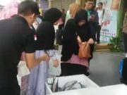 Di Pasar Sukasari Bogor Ada Ikan Murah, Warga Bisa Cari Sesuka Hati