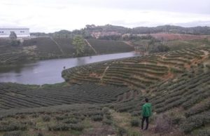 DIZAMAN INI MASIH ADA DAERAH YANG TAK TERJAMAK JARINGAN TELEKOMUNIKASI