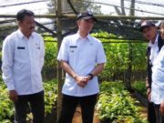 Dedie Rachim Minta Poktani Bisa Mengolah Alpukat Seperti di Brazil