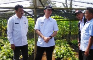 Dedie Rachim Minta Poktani Bisa Mengolah Alpukat Seperti di Brazil