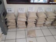 Garnas Desak Penegak Hukum Usut Pemain Beras DKPP Beras DKPP Kota Bogor
