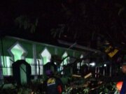 YPSI Melalui Tim KSJI Berikan Pertolongan Pertama Pasca Tumbangnya Pohon Besar