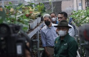 Dedie Rachim Dampingi Menteri Teten Lihat Potensi Tanaman Hias di Minaqu Indonesia