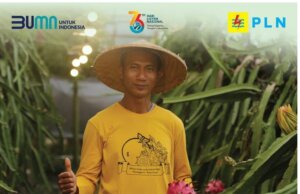 Hari Listrik Nasional ke-76, PLN Luncurkan Promo Super Dasyat Tambah Daya Hanya Rp 202.100