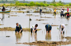 Presiden Jokowi Tanam Mangrove Bersama Dubes dan Masyarakat di Tana Tidung
