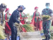 Panen Raya Padi Organik, Bima Arya Sebut AEWO Mulyaharja Three In One