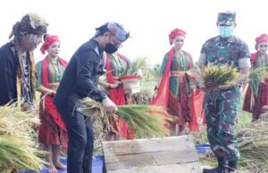 Panen Raya Padi Organik, Bima Arya Sebut AEWO Mulyaharja Three In One