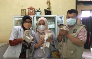 Keren ! Mobil Bekas Disulap Oleh DKPP Kota Bogor Untuk Klinik Hewan Mobile