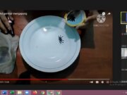Ajak Partisipasi Orang Tua dalam Pembelajaran Anak, TK Khalifah Depok Gelar ABBP Bertemakan Sains TK Khalifah