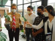 Ekspansi Tanaman Hias, Green Box Gardening & Plants Hadir di Boxies