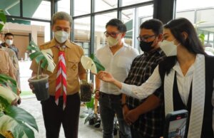 Ekspansi Tanaman Hias, Green Box Gardening & Plants Hadir di Boxies