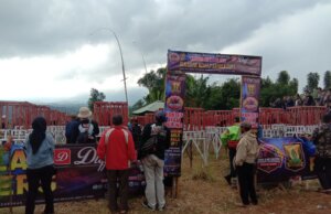 Kontes Ayam Pelung Sawala Cup, Potensi Besar Bawa Nama Baik Daerah