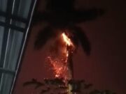 Warga Bantarjati Panik, Petir Menggelegar Sambar Pohon Palem