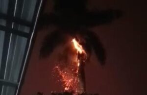 Warga Bantarjati Panik, Petir Menggelegar Sambar Pohon Palem