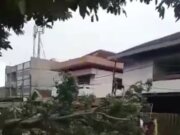 Angin Kencang Robohkan Pohon Kenari, 1 Unit Roda EmpatTertimpa di Bogor