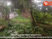 Tuntaskan Kebutuhan Penghijauan, Disperumkim Kota Bogor Canangkan Program Pembibitan Tanaman Dibatas 2 Kelurahan
