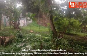 Tuntaskan Kebutuhan Penghijauan, Disperumkim Kota Bogor Canangkan Program Pembibitan Tanaman Dibatas 2 Kelurahan
