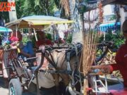 H+7 Lebaran Idul Fitri 1443 H, Kusir Delman Kota Bogor Banjir Orderan