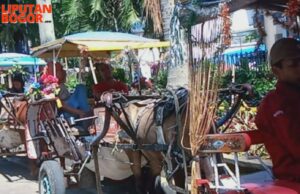 H+7 Lebaran Idul Fitri 1443 H, Kusir Delman Kota Bogor Banjir Orderan