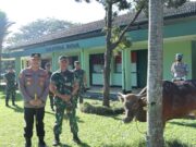 Berbagi Kasih Hari Raya Idul Adha 1443 H, Polresta Bogor Kota Serahkan Qurban Sapi di 4 Lokasi