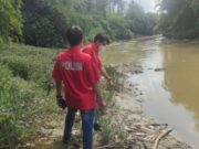 Diduga Tercemar Ribuan Ikan Mati Dialiran Sungai Cileungsi, Jajaran Kepolisian Lakukan Penyelidikan