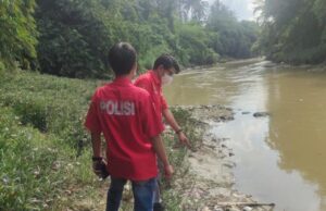Diduga Tercemar Ribuan Ikan Mati Dialiran Sungai Cileungsi, Jajaran Kepolisian Lakukan Penyelidikan