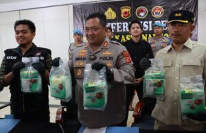 Jajaran Sat Narkoba Polres Bogor Amankan Barang Haram Senilai 10 Miliar