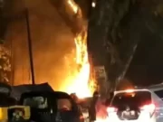Pohon Jubleg Ikonik Warga Parung Terbakar, BEM FH UIKA Desak Pihak Berwajib Usut Tuntas Pelaku Pembakarnya