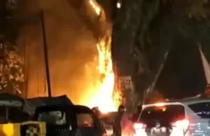 Pohon Jubleg Ikonik Warga Parung Terbakar, BEM FH UIKA Desak Pihak Berwajib Usut Tuntas Pelaku Pembakarnya