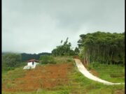Wow! Diduga Pembangunan Jalan Desa Cijeruk Menggunakan Dana Samisade Tahun 2022, Berdiri di Lahan PT Bahana Sukma Sejahtera