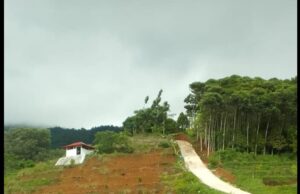 Wow! Diduga Pembangunan Jalan Desa Cijeruk Menggunakan Dana Samisade Tahun 2022, Berdiri di Lahan PT Bahana Sukma Sejahtera