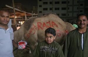 Peduli Kemanusiaan untuk Palestina dari Keluarga Besar Abah Agam di Kairo Mesir