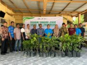 Peringati HLH Sedunia, PTPN IV Regional 6 KSO Tanam Ratusan Bibit Pohon