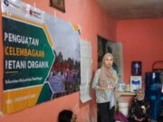 Dosen Pulang Kampung IPB University: Meningkatkan Kapasitas Pertanian Organik di Mulyaharja untuk Masa Depan Berkelanjutan