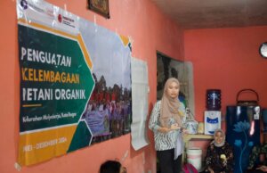 Dosen Pulang Kampung IPB University: Meningkatkan Kapasitas Pertanian Organik di Mulyaharja untuk Masa Depan Berkelanjutan