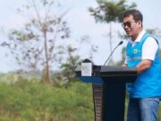 Terus Kembangkan Bahan _Co-Firing_ Biomassa, PLN Bersama Kementan Luncurkan Model Pertanian Terpadu