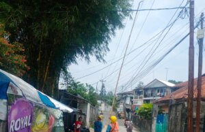 PLN Bogor Tingkatkan Keandalan Jaringan Listrik dengan Giat ROW