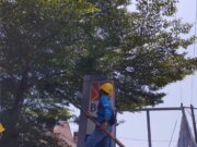 PLN Bogor Tingkatkan Keandalan Listrik dengan Giatkan Right of Way