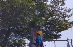 PLN Bogor Tingkatkan Keandalan Listrik dengan Giatkan Right of Way