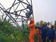 Wanita ODGJ Panjat Tiang Sutet di Bogor, Tim Gabungan Evakuasi dengan Selamat