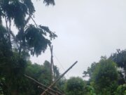 326 Petugas PLN UID Jabar “All Out” Pulihkan Kelistrikan di Sukabumi dan Cianjur