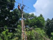 Memasuki Puncak Musim Penghujan, PLN UP3 Bogor Bagikan Tips Agar Listrik Tetap Aman