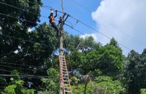 Memasuki Puncak Musim Penghujan, PLN UP3 Bogor Bagikan Tips Agar Listrik Tetap Aman