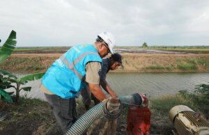 Dukung Tranformasi Pertanian Modern, _Electrifying Agriculture_ PLN Raih 53.539 Pelanggan Baru di Tahun 2024