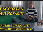 Pengobatan Alat Vital Bogor Terbaik AA H Kosasih Hubungi 082216620008