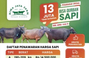 Promo Sapi Qurban Mulai 13 Jutaan! Gratis Perawatan & Kirim Jabodetabek
