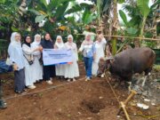Idul Adha 1446 H, BRI Bogor Pajajaran Salurkan Bantuan Daging Bergizi untuk Masyarakat